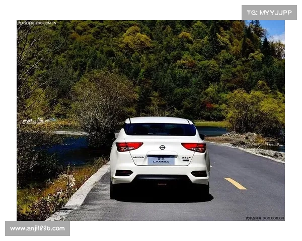 全新蓝鸟如何兼顾“年轻”与“务实”